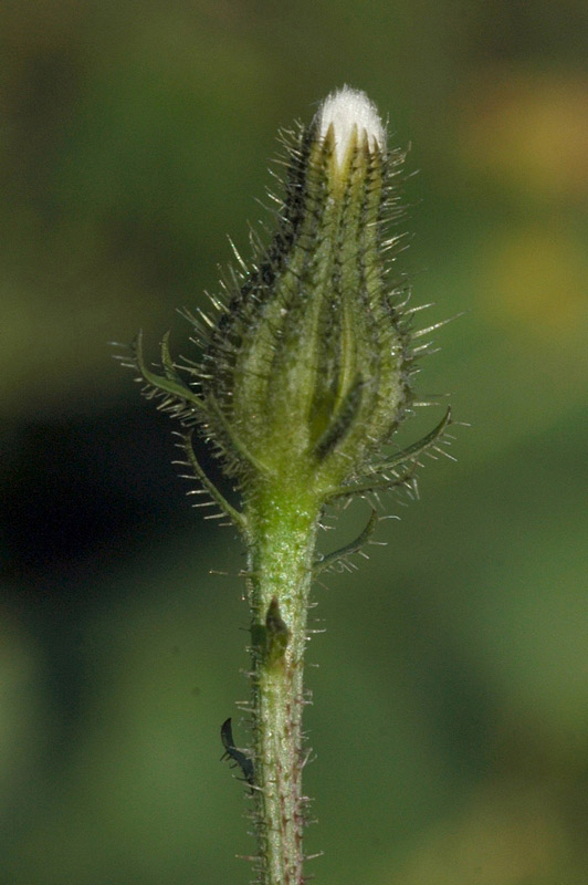 75740_79cf52df.jpg