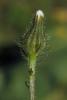 75740_79cf52df_t1.jpg