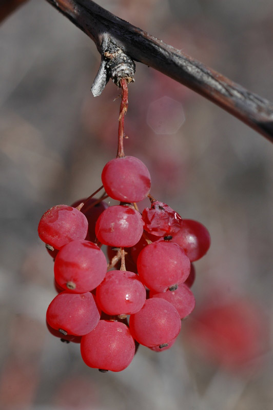 75902_823e7d06.jpg