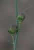 75910_0ae948e5_t1.jpg