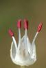 79289_21054c96_t1.jpg