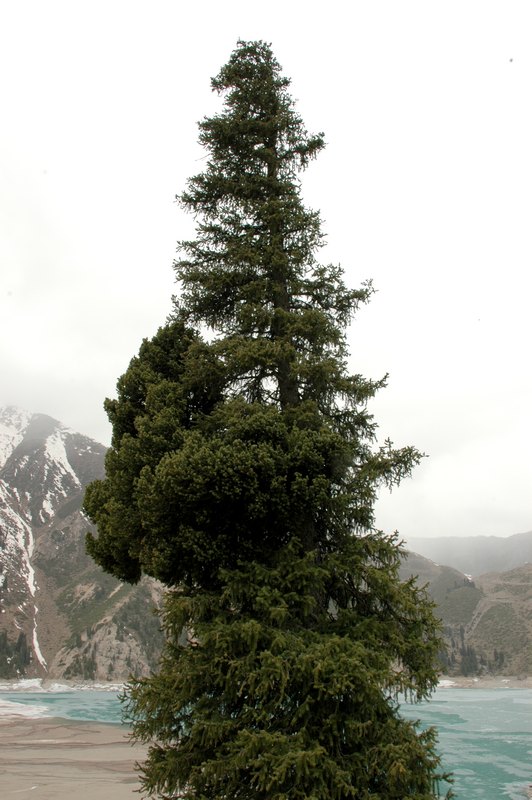 dsc_6075.jpg