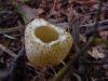 dsc01417_t1.jpg