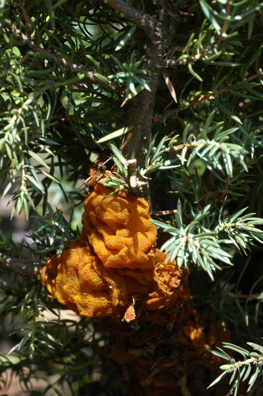 dsc_9778.jpg