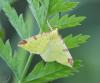 050635_t1.jpg