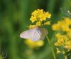 100629_t1.jpg