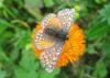 110717_t1.jpg