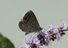 110802.3_t1.jpg