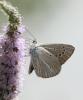 110802.4_t1.jpg