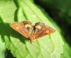 140524_t1.jpg