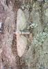 140528_t1.jpg