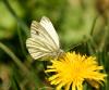 140531_t1.jpg