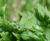 150538_t1.jpg