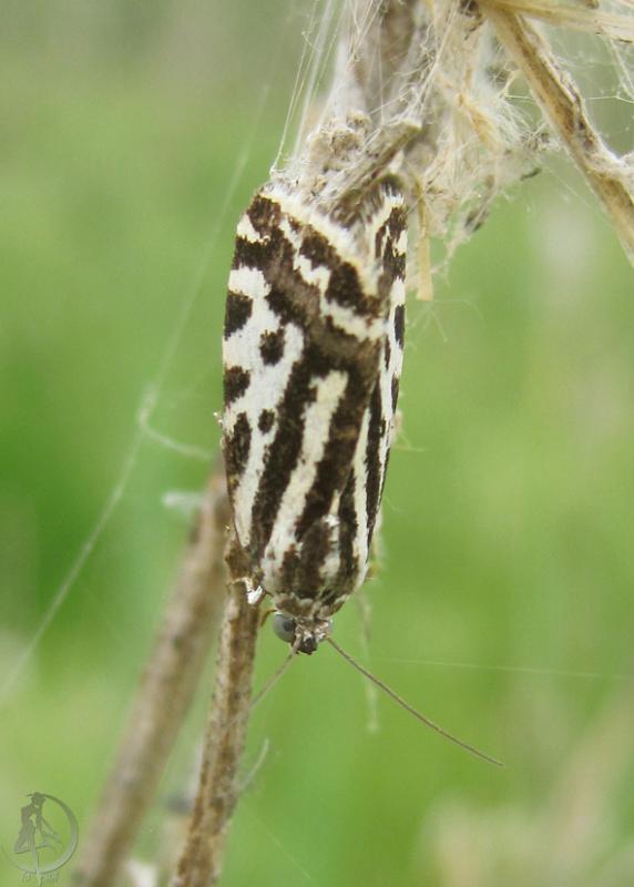 2012.05.13.126.jpg