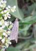 2012.05.13.183_t1.jpg
