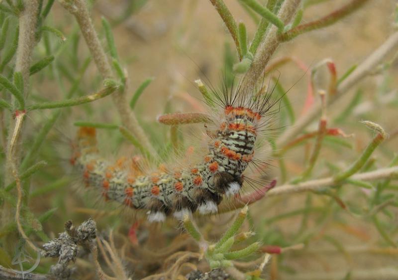 2012.05.20.104.jpg