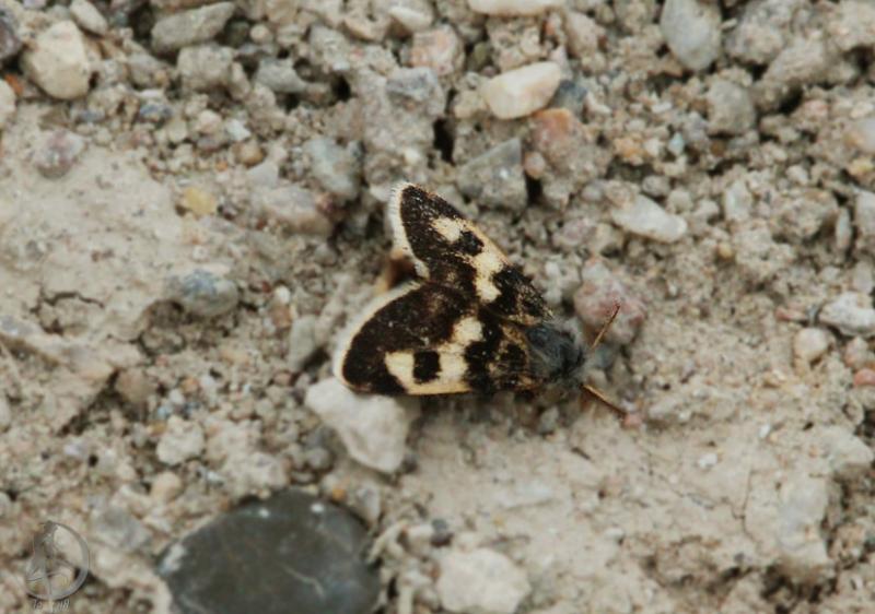 2012.05.20.73.jpg