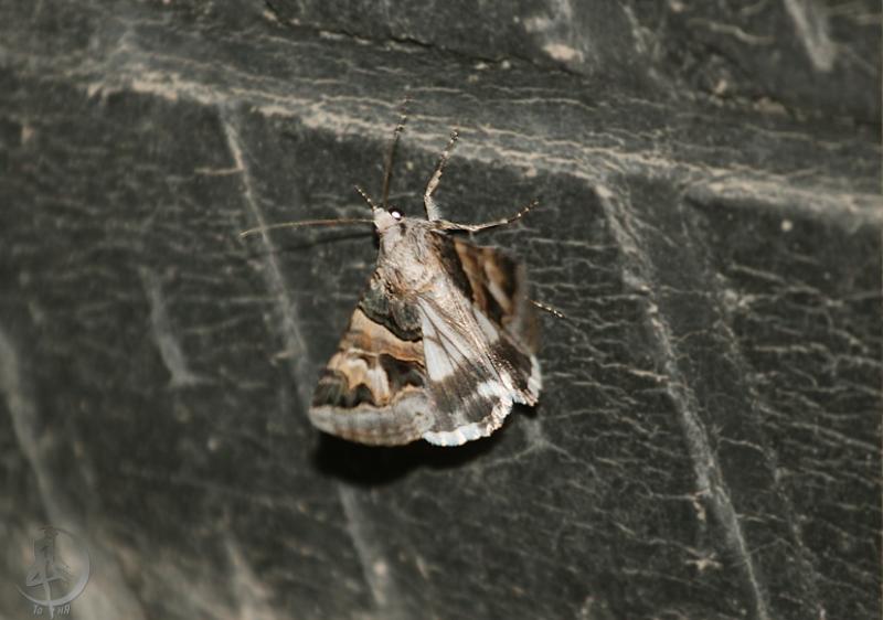 2012.05.20.76.jpg