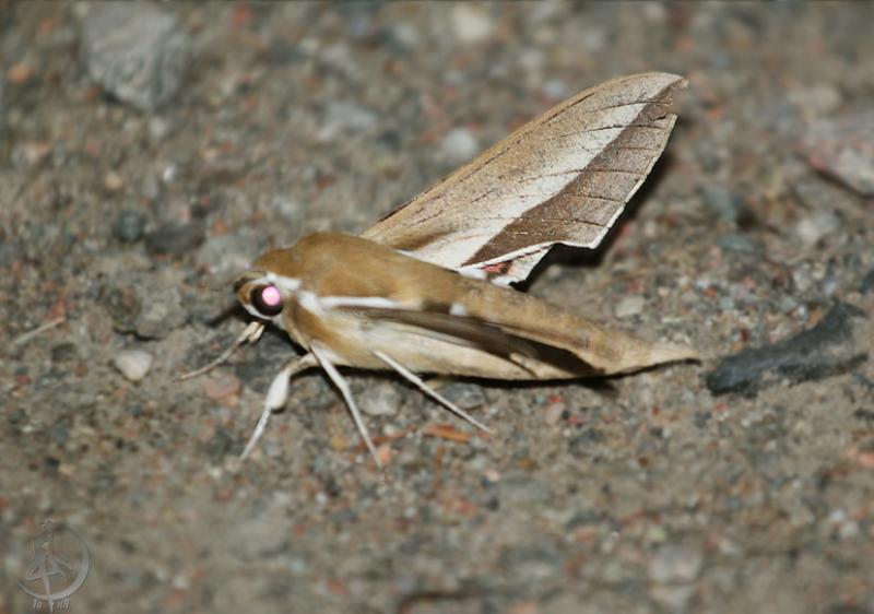 2012.05.20.77.jpg