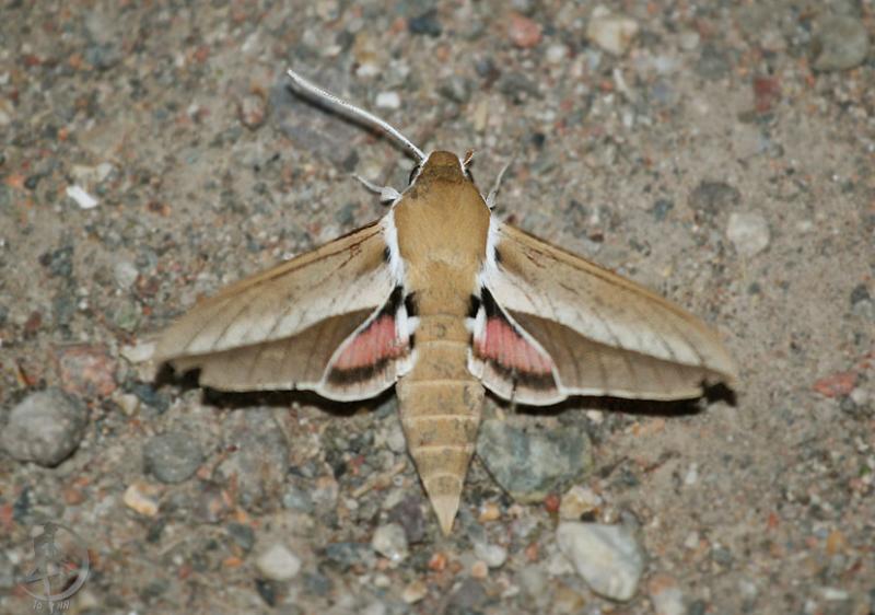 2012.05.20.78.jpg