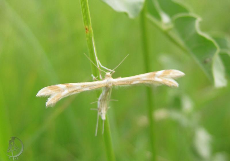 2012.06.02.23.jpg
