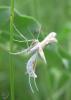 2012.06.02.25_t1.jpg