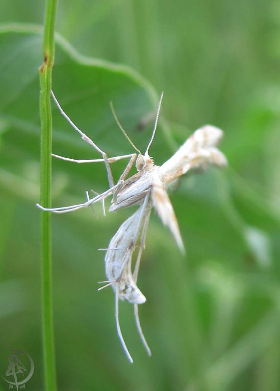 2012.06.02.25.jpg