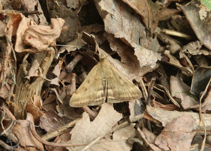 20120428.2.jpg