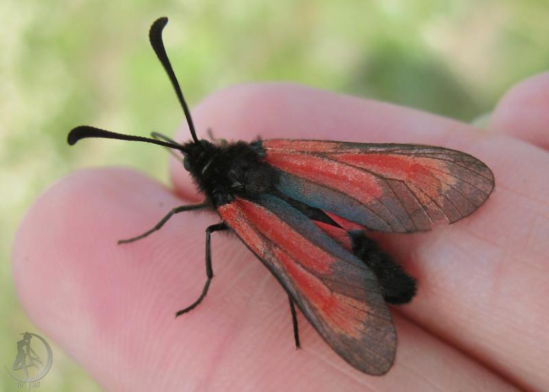 20120623.15.jpg