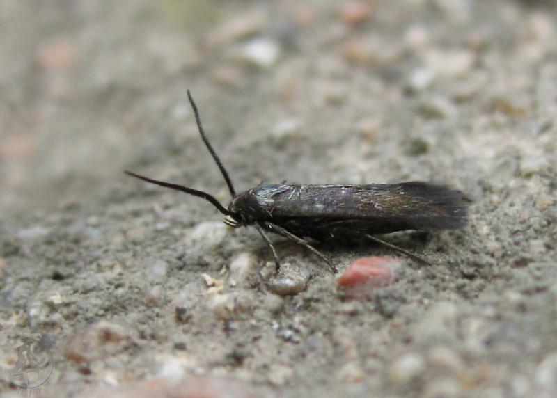 20120628.4.jpg