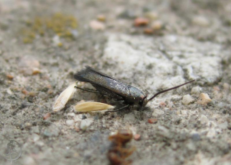 20120628.5.jpg