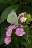 dsc_1761a_t1.jpg