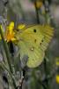 dsc_3669b_t1.jpg