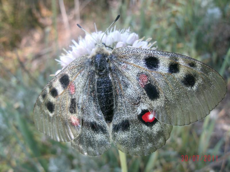gedc0784.jpg