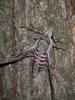 k1024_imgp1544_t1.jpg