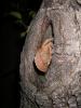 k1024_imgp3381_t1.jpg