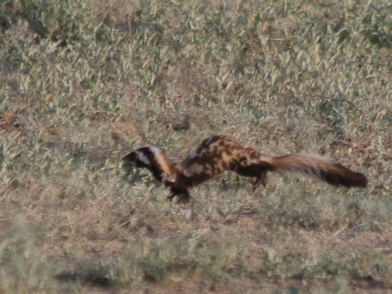 img_3714.jpg