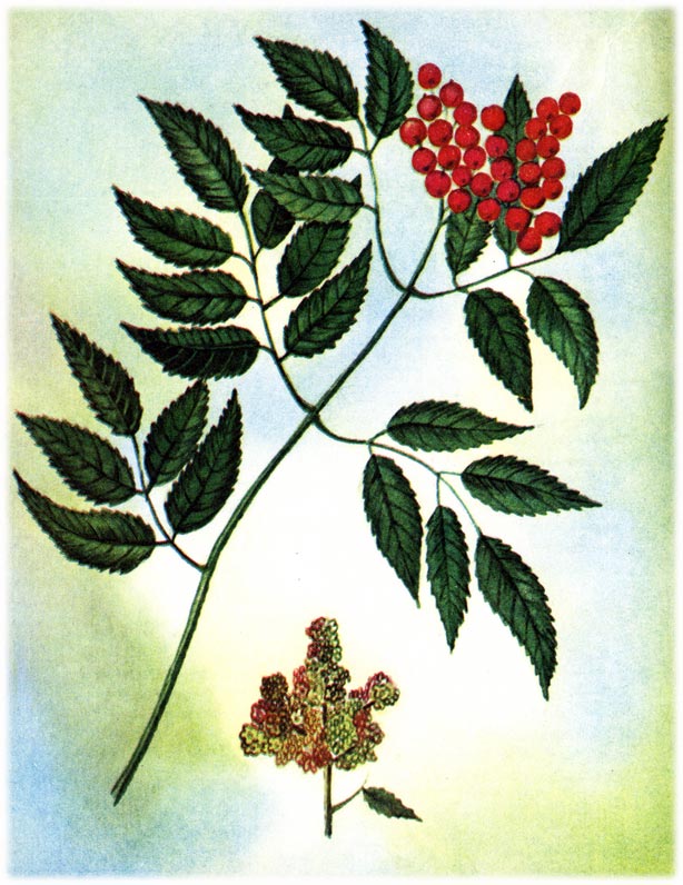 image10.jpg