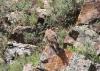 070228_t1.jpg