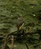 080510_t1.jpg