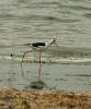 080512_t1.jpg