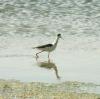 090412_t1.jpg