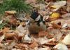111021.10_t1.jpg