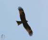 150531_t1.jpg