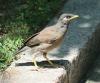 2406112_t1.jpg