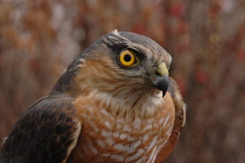 dsc_5432.jpg