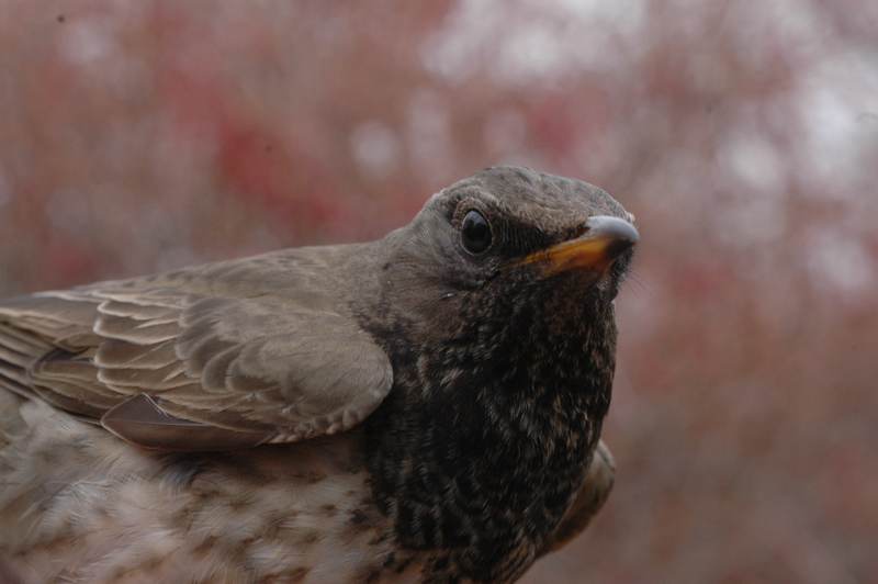dsc_5449.jpg
