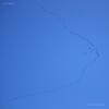phalacrocorax-carbo_02_t1.jpg