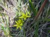 23.03.2010-020_t1.jpg