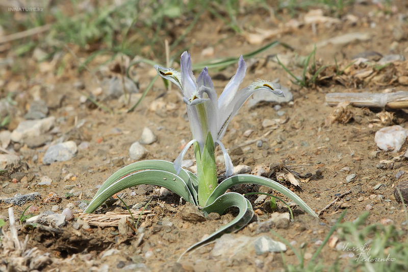 plant_02.jpg